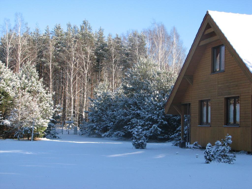 Za Piecem Villa Guzowy Piec Værelse billede