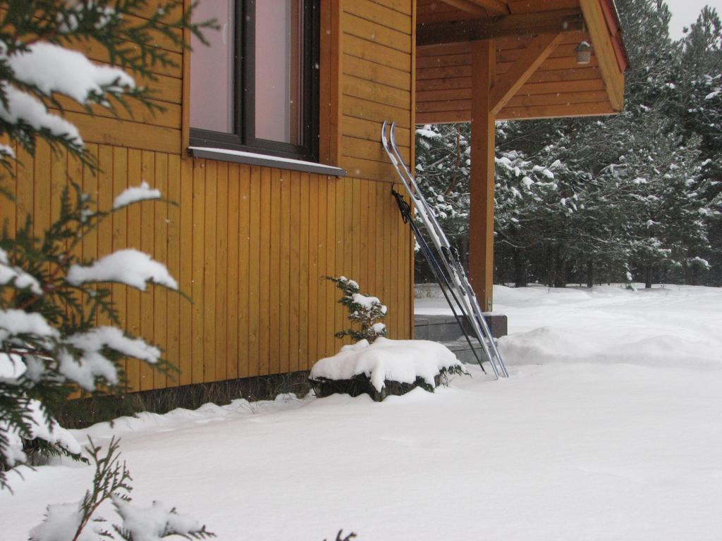 Za Piecem Villa Guzowy Piec Værelse billede